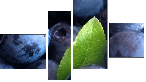 Macro shot of wet fresh blueberry - Vierteiliges Leinwandbild, Viertychon