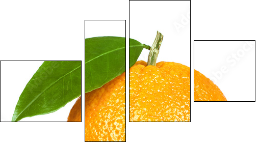 Ripe orange isolated on white background - Vierteiliges Leinwandbild, Viertychon