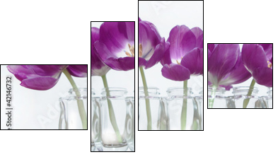 Tulpen - Vierteiliges Leinwandbild, Viertychon
