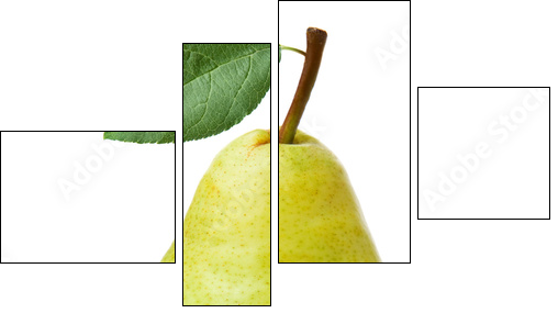 pears isolated on white background - Vierteiliges Leinwandbild, Viertychon
