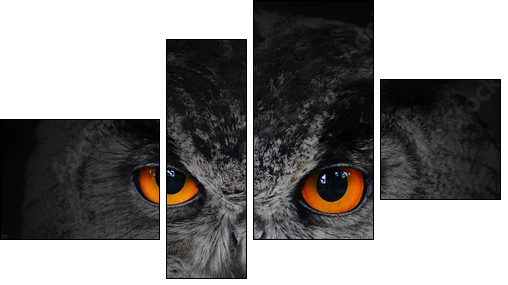 The evil eyes. ( Eagle Owl, Bubo bubo). - Vierteiliges Leinwandbild, Viertychon