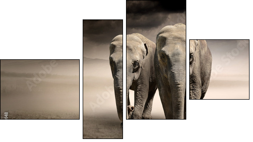 Pair of elephants in motion - Vierteiliges Leinwandbild, Viertychon