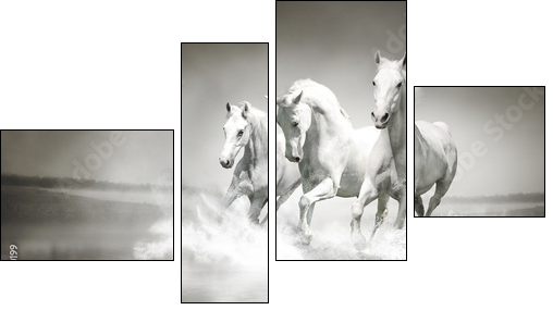 Herd of white horses running through water - Vierteiliges Leinwandbild, Viertychon