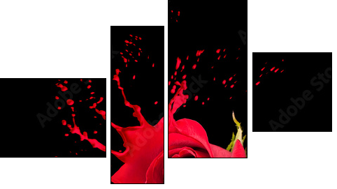 red rose splashes - Vierteiliges Leinwandbild, Viertychon