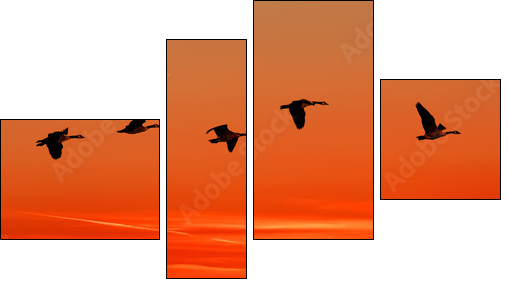 To home - Vierteiliges Leinwandbild, Viertychon