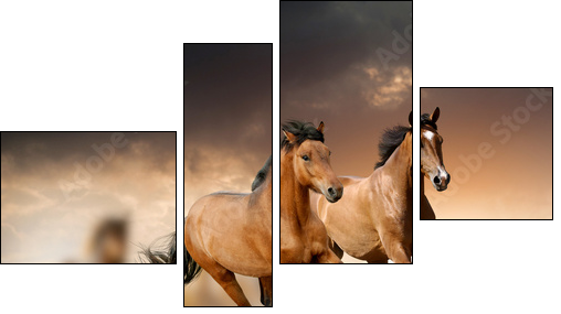 horses in sunset - Vierteiliges Leinwandbild, Viertychon