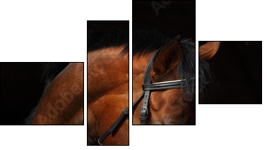 Bay Trakehner Horse with classic bridle - Vierteiliges Leinwandbild, Viertychon