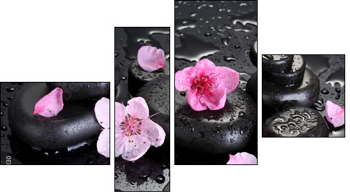 Spa stones with drops and pink sakura flowers - Vierteiliges Leinwandbild, Viertychon