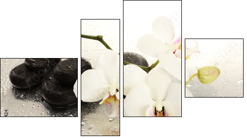 Spa stones and orchid flowers, isolated on white. - Vierteiliges Leinwandbild, Viertychon