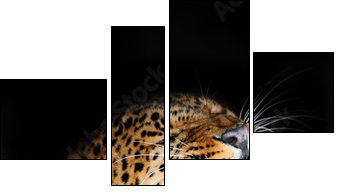 Leopard - Vierteiliges Leinwandbild, Viertychon
