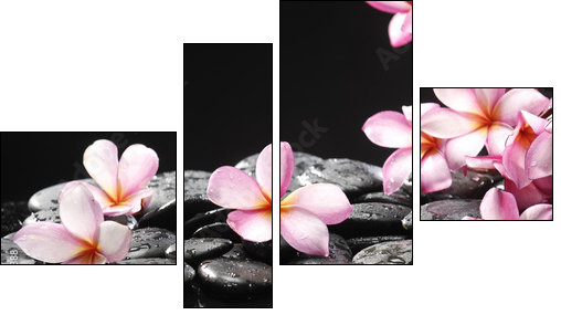 Set of frangipani with zen stones - Vierteiliges Leinwandbild, Viertychon