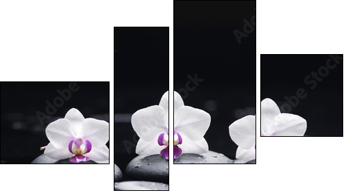 orchid flower and stones in water drops - Vierteiliges Leinwandbild, Viertychon