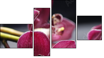 set of branch gorgeous red orchid on stones reflection - Vierteiliges Leinwandbild, Viertychon