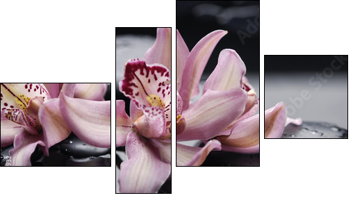 spa concept âgorgeous pink orchid and zen stones - Vierteiliges Leinwandbild, Viertychon
