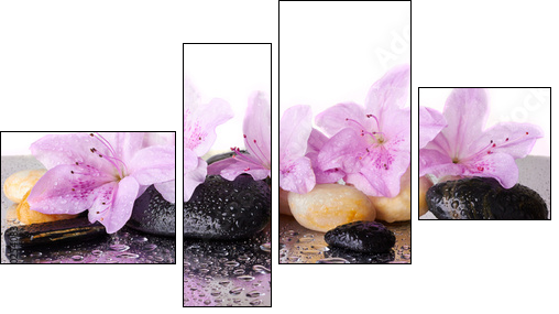 Pink flowers and black stones - Vierteiliges Leinwandbild, Viertychon
