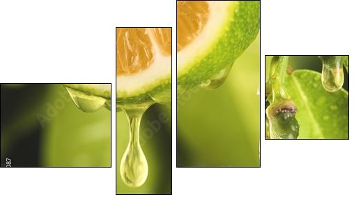 Drop of juice from a sliced lemon - Vierteiliges Leinwandbild, Viertychon