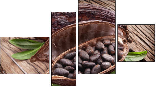 Cocoa pod - Vierteiliges Leinwandbild, Viertychon