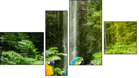 Blue-and-Yellow Macaw - Vierteiliges Leinwandbild, Viertychon