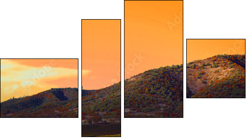 Vineyard Sunset - Vierteiliges Leinwandbild, Viertychon