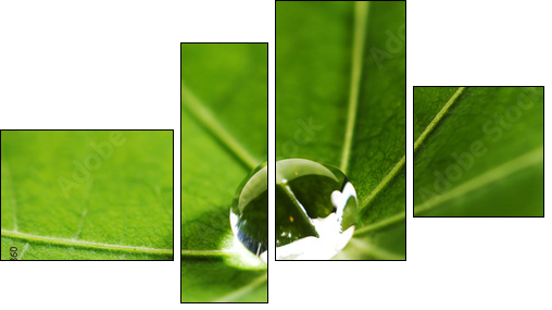 Water drop on green leaf - Vierteiliges Leinwandbild, Viertychon