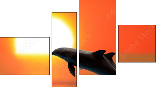 Dolphins at sunset - Vierteiliges Leinwandbild, Viertychon