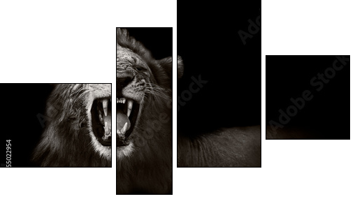 Lion displaying dangerous teeth - Vierteiliges Leinwandbild, Viertychon
