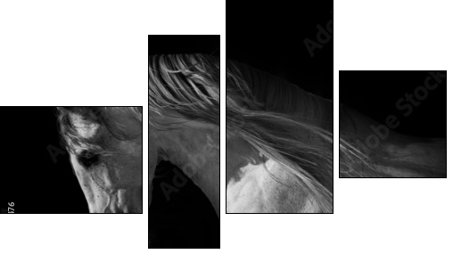 horse portrait on a dark background - Vierteiliges Leinwandbild, Viertychon
