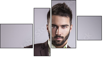 Elegant young handsome man. Studio fashion portrait. - Vierteiliges Leinwandbild, Viertychon