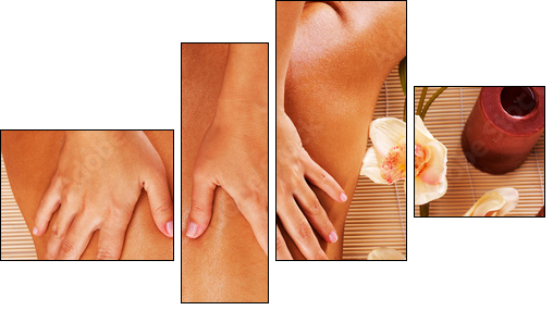 Masseur doing massage on woman back in spa salon - Vierteiliges Leinwandbild, Viertychon