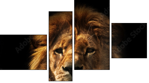 Lion portrait with rich mane on black - Vierteiliges Leinwandbild, Viertychon