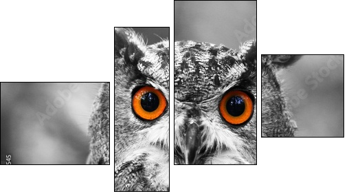 leuchtende Augen - Uhu - Vierteiliges Leinwandbild, Viertychon