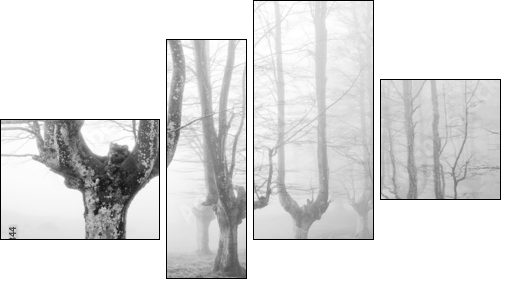 creepy forest with scary trees - Vierteiliges Leinwandbild, Viertychon