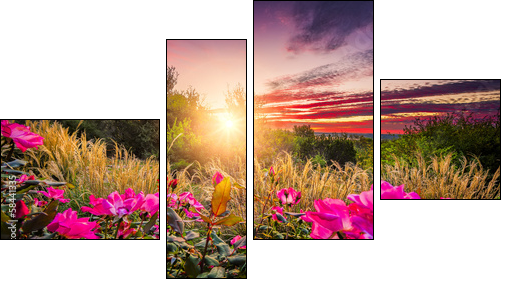 Backyard Sunrise - Vierteiliges Leinwandbild, Viertychon