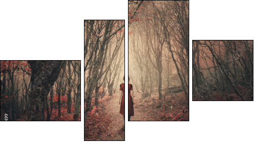 Woman and foggy forest. - Vierteiliges Leinwandbild, Viertychon