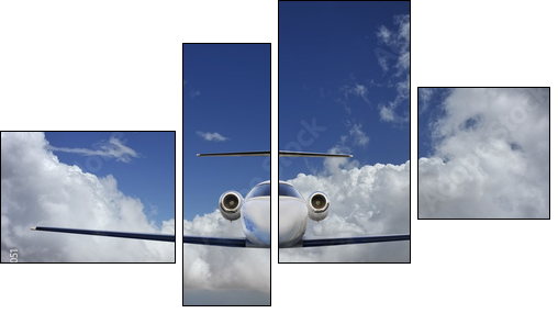 Executive in flight - Vierteiliges Leinwandbild, Viertychon