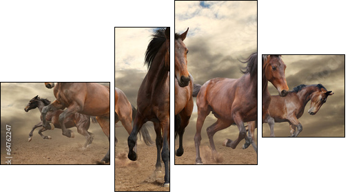 five indomitable bay horse galloping - Vierteiliges Leinwandbild, Viertychon