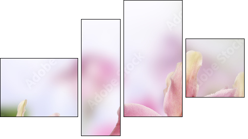 Lily.Flower card - Vierteiliges Leinwandbild, Viertychon