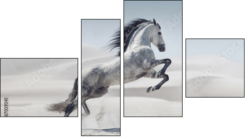 Picture presenting the galloping white horse - Vierteiliges Leinwandbild, Viertychon