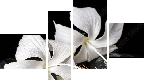 Beautiful cryogenic spa concept of delicate white hibiscus, zen - Vierteiliges Leinwandbild, Viertychon