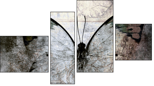 butterfly - Vierteiliges Leinwandbild, Viertychon