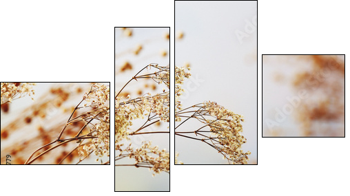 Dried flowers background - Vierteiliges Leinwandbild, Viertychon