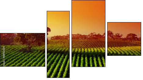 Beautiful Vineyard Landscape with large gum tree - Vierteiliges Leinwandbild, Viertychon