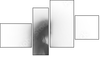 Sexy woman body silhouette - Vierteiliges Leinwandbild, Viertychon