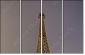 10023302