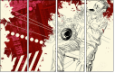 23706243