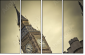 28559738