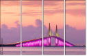299813537