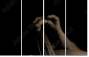 33360952