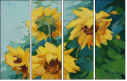 33565665