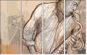42960338